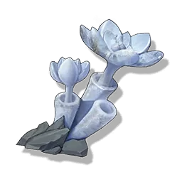 Stone Rose